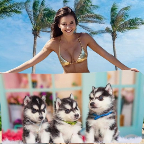 Other - 👣4/$20. Adorable Husky Puppies Trio Beach Pool Towel 55" x 28" NWT
